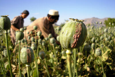 مواد مخدر افغانستان چگونه به اروپا می‌رسد؟