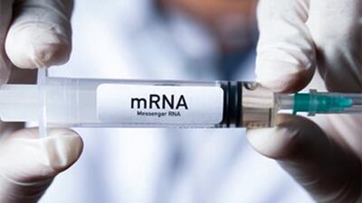 حذف نانوذرات لیپیدی از واکسن‌های mRNA