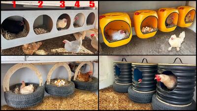 چهار ایده فوق العاده برای ساخت لانه مرغ!