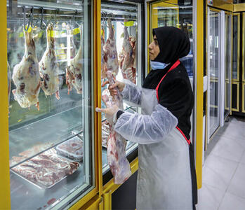 قیمت روز گوشت و مرغ در بازار پروتئین؛ 19 فروردین 1403