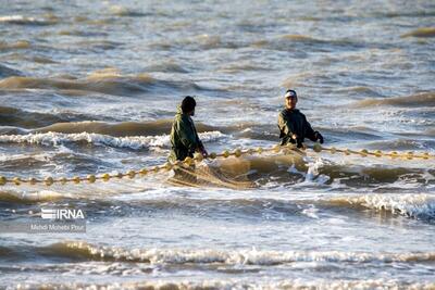 (تصاویر) آخرین روز صید ماهی‌های استخوانی در مازندران