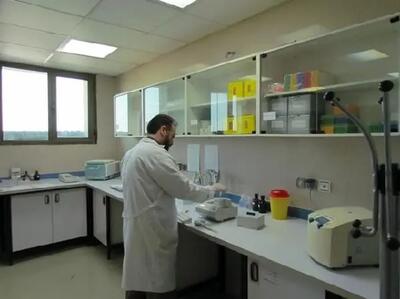 انجام ۶۵۰۰ آزمایش در آزمایشگاه‌های مرجع دامپزشکی قزوین