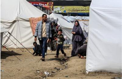 «6 ماه از جنگ می‌گذرد؛ ساکنان غزه چگونه معیشت خود را تدبیر می‌کنند؟»/گزارشی از الجزیره | خبرگزاری بین المللی شفقنا
