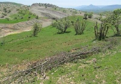 رفع تصرف فوری 46 هکتار از اراضی ملی آذربایجان شرقی - تسنیم