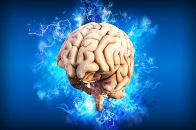 کشف راز ابتلا به آلزایمر، پارکینسون و سکته مغزی