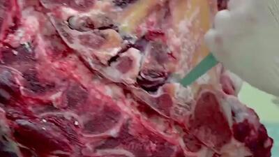 (ویدئو) غذاهای خیابانی کره؛ پخت 15 تن کباب گوشت و مرغ اصیل تگزاسی در سئول