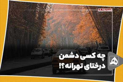 چه کسی دشمن درختای تهرانه؟!