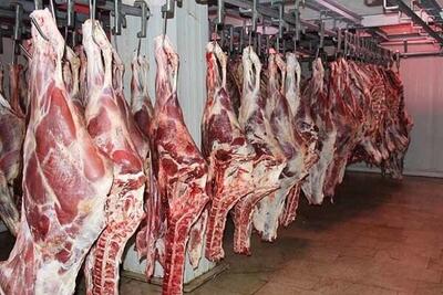 افزایش قیمت گوشت قرمز صحت ندارد