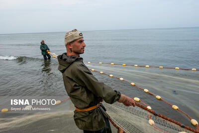 صید محاصره‌ای ماهیان تجاری در آب‌های ساحلی ممنوع است