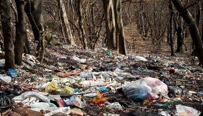 ببینید | تصاویری از تلخ‌ترین اتفاق در جنگل‌های ایران؛ زباله‌ها بلای جای حیوانات