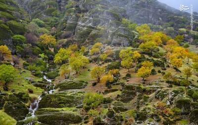 مخمل کوه لرستان، زیبایی بی‌ حد و حصر در میان کوه‌ها