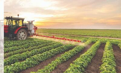 سهم ۸۵ درصدی کشاورزی در تولید ناخالص اقتصادی تایباد