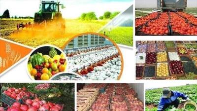 یک هزار و ۱۹۲ میلیارد تسهیلات به بخش کشاورزی سیستان و بلوچستان پرداخت شد