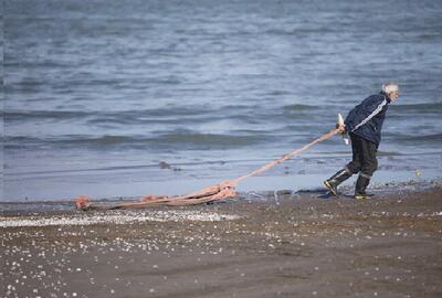 صید محاصره ای ماهیان تجاری در آب های ساحلی ممنوع است