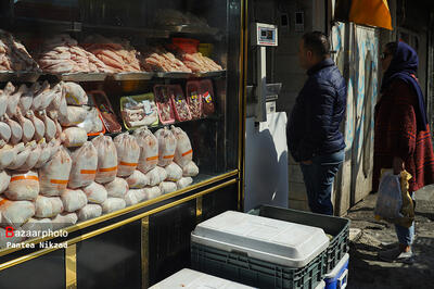 حداکثر مصرف روزانه مرغ در تهران ۱۲۰۰ تن است