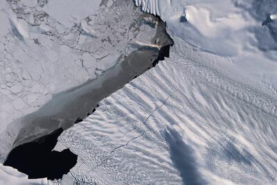 ساخت دیوارهای مصنوعی درمقابل یخچال‌های طبیعی، جنوبگان را نجات می‌‌دهد؟ - زومیت