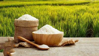 قیمت برنج افزایش می‌یابد؟ | اقتصاد24