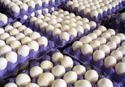 تخم مرغ ارزان شد؛ شانه 30 عددی زیر 100 هزار تومان