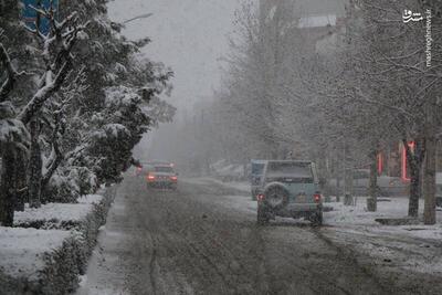 فیلم/ بارش برف بهاری در روستاهای سلماس