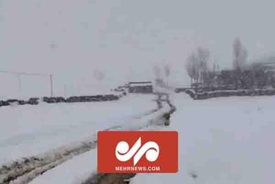 تصاویری از بارش برف بهاری در روستاهای سلماس