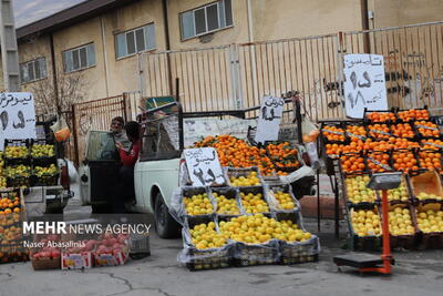 نابسامانی وانت‌های میوه‌فروشی مصداق تضییع حقوق عامه است