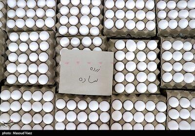 کاهش قیمت تخم مرغ به زیر 100 هزار تومان - تسنیم