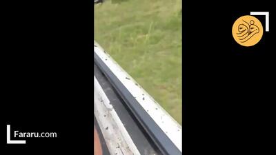 (ویدئو) تصادف شدید ایمپالای فراری از دست یوزپلنگ
