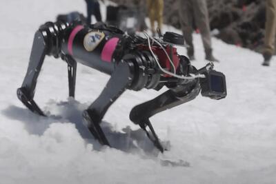 سگ‌های رباتیک به ناجی در ماه تبدیل می‌شوند