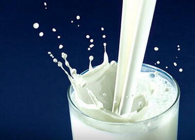 تعیین نرخ جدید شیر خام در سال ۱۴۰۳ / افرایش ۲۵ درصدی شیرخام در راه است
