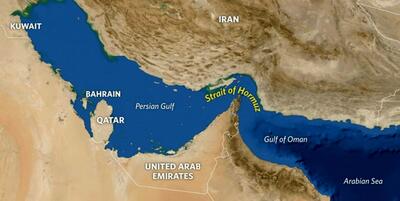 تصویری دردناک از آسیب رساندن به خلیج فارس