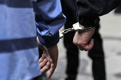 فرد هتاک به پیکر شهدای پلیس بازداشت شد