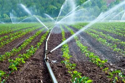 تجهیز بیش از ۱۰۰۰هکتار از زمین های کشاورزی لرستان به سیستم آبیاری نوین