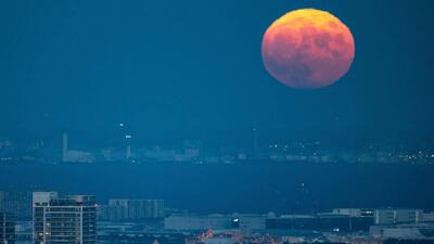 بایدن: اولین غیرآمریکایی‌هایی که قدم روی ماه می‌گذارند، ژاپنی هستند | خبرگزاری بین المللی شفقنا