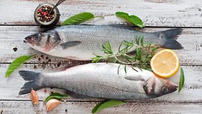 جدیدترین قیمت ماهی در بازار / قیمت قزل آلا در آستانه کیلویی ۳۰۰ هزار تومان
