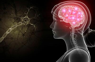 محققان: میزان اسیدی بودن مغز می‌تواند با اختلالات عصبی و مشکلات روان‌شناختی ارتباط داشته باشد | شبکه اطلاع‌ رسانی طلا و ارز