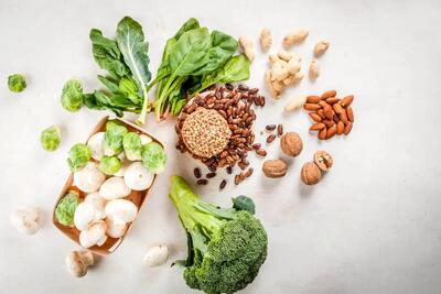 4  منبع گیاهی غنی از پروتئین