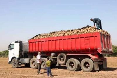 13 هزار کامیون بومی، محصولات کشاورزی بهاره گلستان را جابه‌جا می‌کند