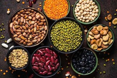 منابع گیاهی غنی از پروتئین