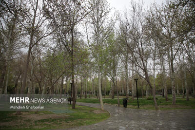 هوای کلانشهر مشهد برای دومین روز پیاپی «پاک» است