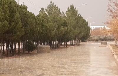 ثبت بارندگی ۱۸ میلیمتری در شهرستان گناباد