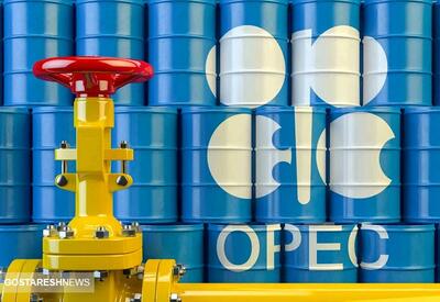 تقاضا برای نفت افزایشی خواهد شد / آمار جدید اوپک درباره مصرف سوخت | شبکه اطلاع‌ رسانی طلا و ارز