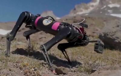 آموزش سگ ربات برای راه رفتن در ماه
