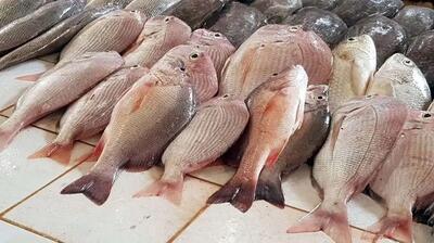 قیمت ماهی امروز یکشنبه ۲۶ فروردین ۱۴۰۳ + جدول