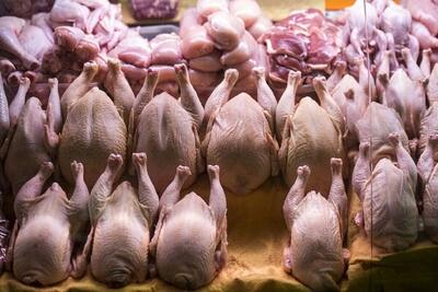 قیمت روز مرغ  و گوشت یکشنبه ۲۶ فروردین ۱۴۰۳