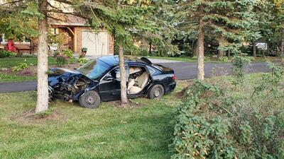 آیا بیمه خودرو خسارت برخورد با درخت را پوشش می‌دهد
