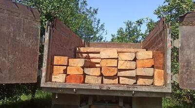 محموله چوب قاچاق جنگلی در نشتارود توقیف شد