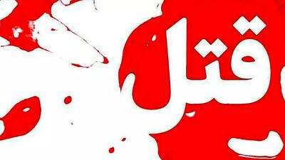 قتل خونین دختر جوان در خیابان گاندی تهران / پسر آشنا 17 ضربه چاقو زد + جزییات