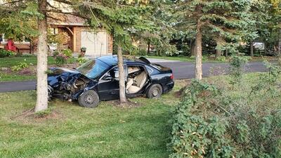 آیا بیمه خودرو خسارت برخورد با درخت را پوشش می‌دهد؟ | شبکه اطلاع‌ رسانی طلا و ارز