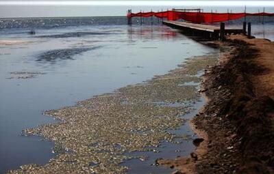 تراز آب دریای خزر به کمترین میزان در قرن اخیر رسید