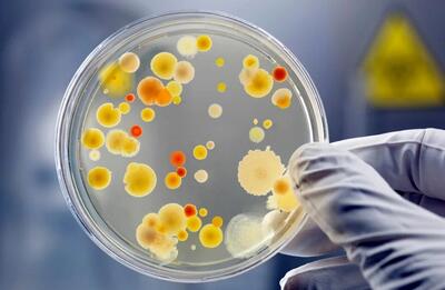 نقش باکتری‌ها در بروز بیماری‌های گوارشی